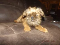 processed/f306c71b-6ea6-4645-9571-e5b63086de8e/listing/aff5247d-241c-4f4e-9193-92c1719225d3/07ab3d57-6f85-4330-b5c2-04a7a81f57d2