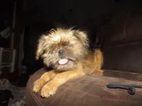 processed/f306c71b-6ea6-4645-9571-e5b63086de8e/listing/aff5247d-241c-4f4e-9193-92c1719225d3/11ece64c-768e-41a7-9d1a-0d237b32131d