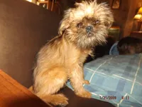 processed/f306c71b-6ea6-4645-9571-e5b63086de8e/listing/aff5247d-241c-4f4e-9193-92c1719225d3/33ead13b-3847-4b98-9faf-172b0fe4b05a