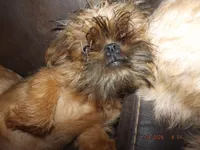 processed/f306c71b-6ea6-4645-9571-e5b63086de8e/listing/aff5247d-241c-4f4e-9193-92c1719225d3/3f947230-ed10-43d2-8d23-eab4d5e8ee5f