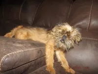 processed/f306c71b-6ea6-4645-9571-e5b63086de8e/listing/aff5247d-241c-4f4e-9193-92c1719225d3/54afaa8d-80f6-4cd9-88da-88038f74ab8a