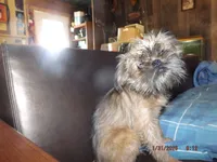 processed/f306c71b-6ea6-4645-9571-e5b63086de8e/listing/aff5247d-241c-4f4e-9193-92c1719225d3/5b630002-e63d-4d07-8ece-65948451a7f9