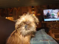 processed/f306c71b-6ea6-4645-9571-e5b63086de8e/listing/aff5247d-241c-4f4e-9193-92c1719225d3/cd0076b0-b6a5-48df-b362-0a454a299cea