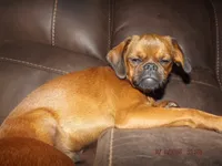 processed/f306c71b-6ea6-4645-9571-e5b63086de8e/listing/c1b2f243-47f8-450e-9da5-d0d8cee9e7ca/9c2ebc65-e40e-44a9-9d2f-32d3d64b308a