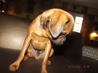 processed/f306c71b-6ea6-4645-9571-e5b63086de8e/listing/c1b2f243-47f8-450e-9da5-d0d8cee9e7ca/9cff02c9-8652-4d31-8e4f-4936e1876009