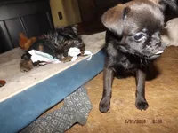 processed/f306c71b-6ea6-4645-9571-e5b63086de8e/listing/db8e110d-f0d7-43b5-a2a9-42350c8e44b0/37bfb3f5-e17c-4926-a10d-967e24d84127