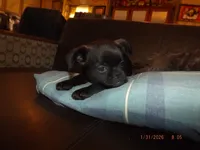 processed/f306c71b-6ea6-4645-9571-e5b63086de8e/listing/db8e110d-f0d7-43b5-a2a9-42350c8e44b0/3ed9aafa-5166-4ff8-bc06-4702a2964ba7