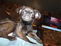 processed/f306c71b-6ea6-4645-9571-e5b63086de8e/listing/db8e110d-f0d7-43b5-a2a9-42350c8e44b0/41bdd0d6-57af-4a9a-b8f1-cf49bbdaaefa