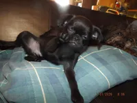 processed/f306c71b-6ea6-4645-9571-e5b63086de8e/listing/db8e110d-f0d7-43b5-a2a9-42350c8e44b0/9152d495-56e9-4a56-855d-e10f605bb3e5