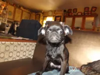 processed/f306c71b-6ea6-4645-9571-e5b63086de8e/listing/db8e110d-f0d7-43b5-a2a9-42350c8e44b0/a102b992-4ee6-4c85-962f-b1952be88682