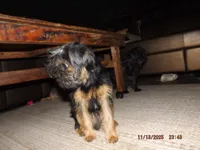 processed/f306c71b-6ea6-4645-9571-e5b63086de8e/listing/df7ae300-994f-4364-9921-0b1a0001c4f9/0a6f40f3-cc27-457d-87a0-0f172b726b57