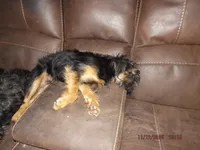 processed/f306c71b-6ea6-4645-9571-e5b63086de8e/listing/df7ae300-994f-4364-9921-0b1a0001c4f9/2726b0b5-3acb-4ba5-806a-8d224febcf54