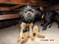 processed/f306c71b-6ea6-4645-9571-e5b63086de8e/listing/df7ae300-994f-4364-9921-0b1a0001c4f9/770eff69-4eb3-489f-9b22-7c05afdac963