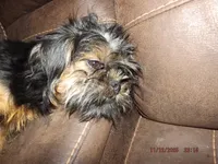 processed/f306c71b-6ea6-4645-9571-e5b63086de8e/listing/df7ae300-994f-4364-9921-0b1a0001c4f9/80ef9ff1-c62a-45cb-aff7-91e22c673d72