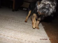 processed/f306c71b-6ea6-4645-9571-e5b63086de8e/listing/df7ae300-994f-4364-9921-0b1a0001c4f9/a52e9ef0-f391-4e90-aff7-4558ebeb5b7e