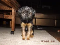 processed/f306c71b-6ea6-4645-9571-e5b63086de8e/listing/df7ae300-994f-4364-9921-0b1a0001c4f9/c113bad2-a513-4923-b31a-7d0ed53f6997