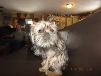 processed/f306c71b-6ea6-4645-9571-e5b63086de8e/listing/e5cb87fe-a53b-4e8e-8f57-d7d21b964fd0/010c4510-4e76-41d9-b6bb-c68172a6f6b3