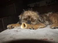 processed/f306c71b-6ea6-4645-9571-e5b63086de8e/listing/e5cb87fe-a53b-4e8e-8f57-d7d21b964fd0/0ebcd7e2-fb54-492e-b608-1ae41d77c0da