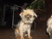 processed/f306c71b-6ea6-4645-9571-e5b63086de8e/listing/e5cb87fe-a53b-4e8e-8f57-d7d21b964fd0/28fc6b29-b3b6-4469-9d1d-215996f2503d