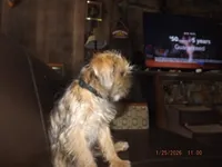 processed/f306c71b-6ea6-4645-9571-e5b63086de8e/listing/e5cb87fe-a53b-4e8e-8f57-d7d21b964fd0/9f668cc1-b380-4687-9118-09a5eed85dd0