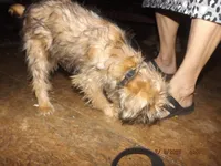 processed/f306c71b-6ea6-4645-9571-e5b63086de8e/listing/e5cb87fe-a53b-4e8e-8f57-d7d21b964fd0/afa7a9a9-dc9e-4ab2-9e15-8ca0749572cb