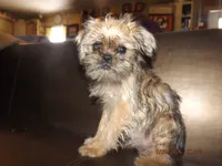 processed/f306c71b-6ea6-4645-9571-e5b63086de8e/listing/e5cb87fe-a53b-4e8e-8f57-d7d21b964fd0/e3145173-4f4a-41d9-9ea4-276d9d1c9cab