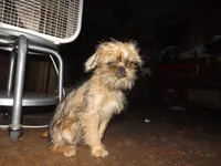 processed/f306c71b-6ea6-4645-9571-e5b63086de8e/listing/e5cb87fe-a53b-4e8e-8f57-d7d21b964fd0/e46cba81-4945-4d1e-b5a1-06fc902aadc5