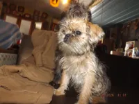 processed/f306c71b-6ea6-4645-9571-e5b63086de8e/listing/e5cb87fe-a53b-4e8e-8f57-d7d21b964fd0/e7c041cf-ad98-4580-b275-698cabade5c1