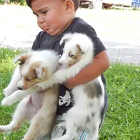 processed/f313c8fa-822e-4593-8a46-7ee9629dd3fd/facility/0c0dc3e9-eafa-4405-98ec-900aee95a2a9