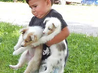 processed/f313c8fa-822e-4593-8a46-7ee9629dd3fd/facility/0c0dc3e9-eafa-4405-98ec-900aee95a2a9