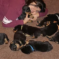 processed/f313c8fa-822e-4593-8a46-7ee9629dd3fd/facility/619ea321-52ca-4437-b222-b55f97225c6a