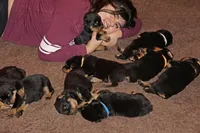 processed/f313c8fa-822e-4593-8a46-7ee9629dd3fd/facility/619ea321-52ca-4437-b222-b55f97225c6a