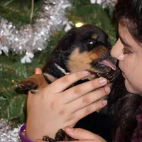 processed/f313c8fa-822e-4593-8a46-7ee9629dd3fd/facility/761322e4-c83b-4aed-82b0-2017a46345c8