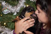 processed/f313c8fa-822e-4593-8a46-7ee9629dd3fd/facility/761322e4-c83b-4aed-82b0-2017a46345c8