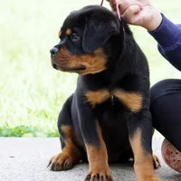 processed/f313c8fa-822e-4593-8a46-7ee9629dd3fd/facility/c8a60230-559d-40a3-b4e1-8ea33130f05b