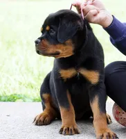 processed/f313c8fa-822e-4593-8a46-7ee9629dd3fd/facility/c8a60230-559d-40a3-b4e1-8ea33130f05b