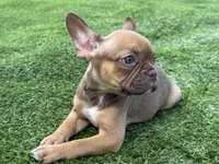 processed/f3146f7c-b3a4-45b1-9b7d-1f18c023ee2d/facility/2bfaf239-583a-4c1f-a6af-4e02a1cf46d2