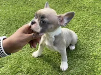 processed/f3146f7c-b3a4-45b1-9b7d-1f18c023ee2d/facility/76924cba-8f61-4d0b-8907-14c058c09ae3