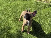 processed/f3146f7c-b3a4-45b1-9b7d-1f18c023ee2d/facility/c83afacb-dd01-4921-a330-acbf3d602f6e