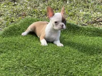 processed/f3146f7c-b3a4-45b1-9b7d-1f18c023ee2d/listing/0712804b-00ef-41fe-9857-7fc217ccbf3d/28474af1-3ee0-488b-89f1-6cfd6e758d5d