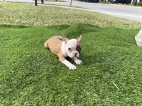 processed/f3146f7c-b3a4-45b1-9b7d-1f18c023ee2d/listing/0712804b-00ef-41fe-9857-7fc217ccbf3d/35ff898d-a02a-4c98-a0cc-b681539b2dfd