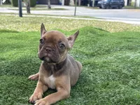 processed/f3146f7c-b3a4-45b1-9b7d-1f18c023ee2d/listing/9a1472bd-6208-40f4-9abc-8d0d923fd4b6/13e5efce-aefc-498e-b685-c8bfb79a70e7