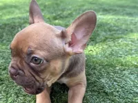 processed/f3146f7c-b3a4-45b1-9b7d-1f18c023ee2d/listing/9a1472bd-6208-40f4-9abc-8d0d923fd4b6/35bd059b-ecf6-4073-8d14-f90f6cad0d1f