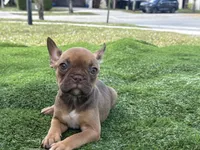 processed/f3146f7c-b3a4-45b1-9b7d-1f18c023ee2d/listing/9a1472bd-6208-40f4-9abc-8d0d923fd4b6/4b332ea0-54f0-4bb8-a3f5-230fe0e9dc17