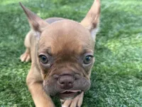 processed/f3146f7c-b3a4-45b1-9b7d-1f18c023ee2d/listing/9a1472bd-6208-40f4-9abc-8d0d923fd4b6/bcd58bf5-7c17-47b5-bcf4-c6b02bcaffb9