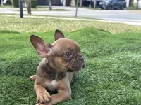 processed/f3146f7c-b3a4-45b1-9b7d-1f18c023ee2d/listing/9a1472bd-6208-40f4-9abc-8d0d923fd4b6/c6974671-2405-45e1-a3f7-44d712085bdd