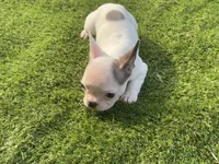 processed/f3146f7c-b3a4-45b1-9b7d-1f18c023ee2d/listing/b56c6f24-ee54-404c-8cfe-e7c861e0a9b4/b319c885-b2cd-43f4-a90c-3a90012145f4