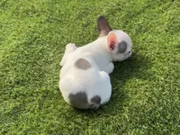 processed/f3146f7c-b3a4-45b1-9b7d-1f18c023ee2d/listing/b56c6f24-ee54-404c-8cfe-e7c861e0a9b4/e57e21ab-4ec3-4867-ad7e-987611169f59