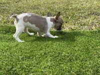 processed/f3146f7c-b3a4-45b1-9b7d-1f18c023ee2d/listing/ccf0ea98-9231-40a8-b467-2a2dc358a4f6/1932cf6a-982e-43a4-b275-469ef8697eb6