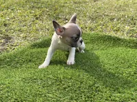 processed/f3146f7c-b3a4-45b1-9b7d-1f18c023ee2d/listing/ccf0ea98-9231-40a8-b467-2a2dc358a4f6/1a4502f5-9937-4162-886f-eb6d119757d8